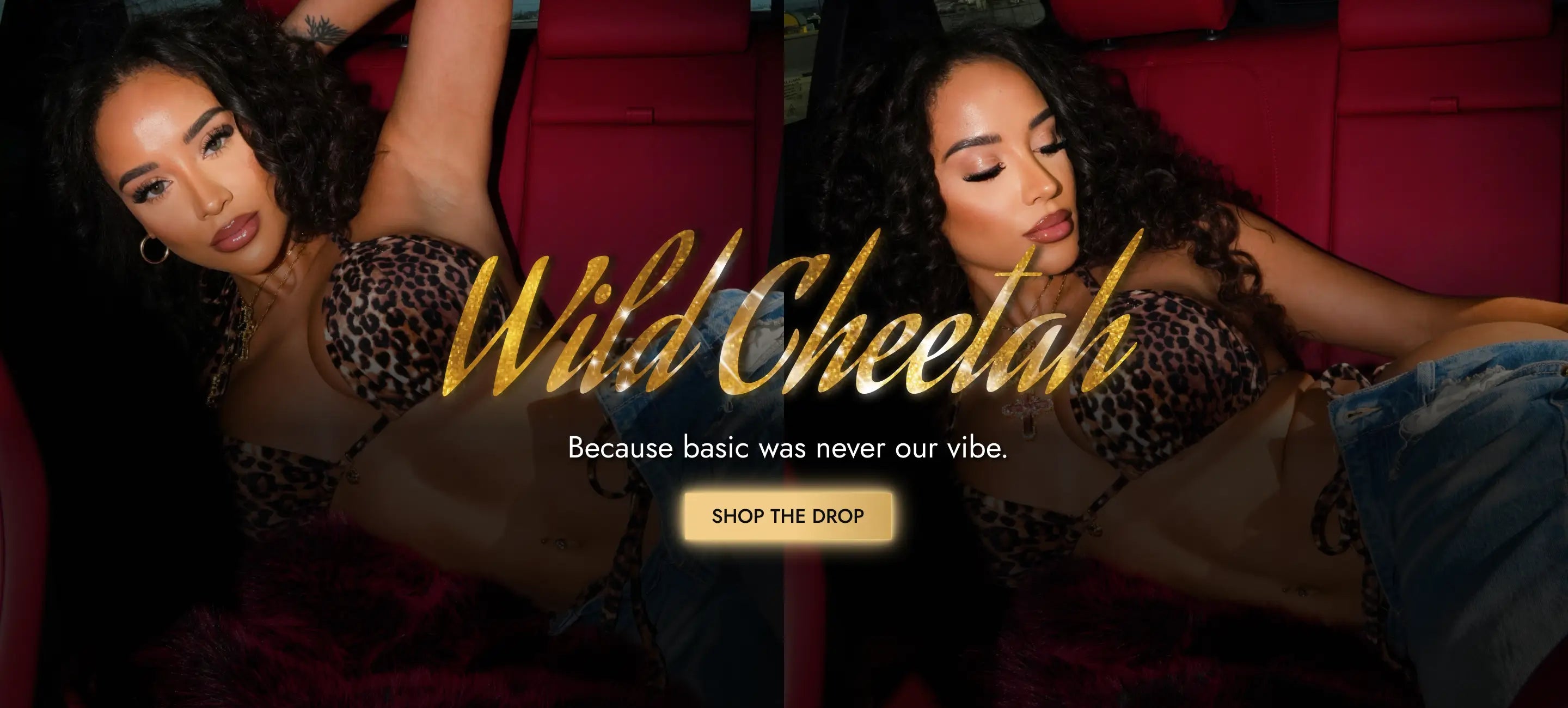 Apple Bottoms - Wild Cheetah Velour Bikini - Hero - Desktop - 2